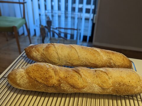 楽健寺酵母のバゲット 高加水バージョン